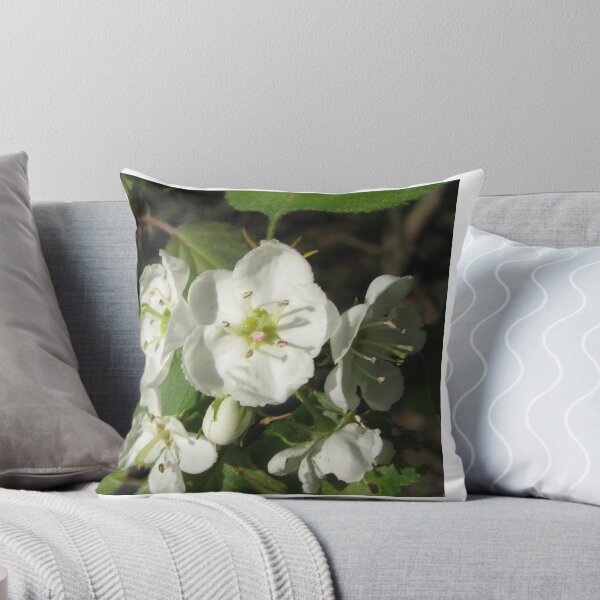 Item preview, Enchanted designed and sold by Quinn Blackburn.