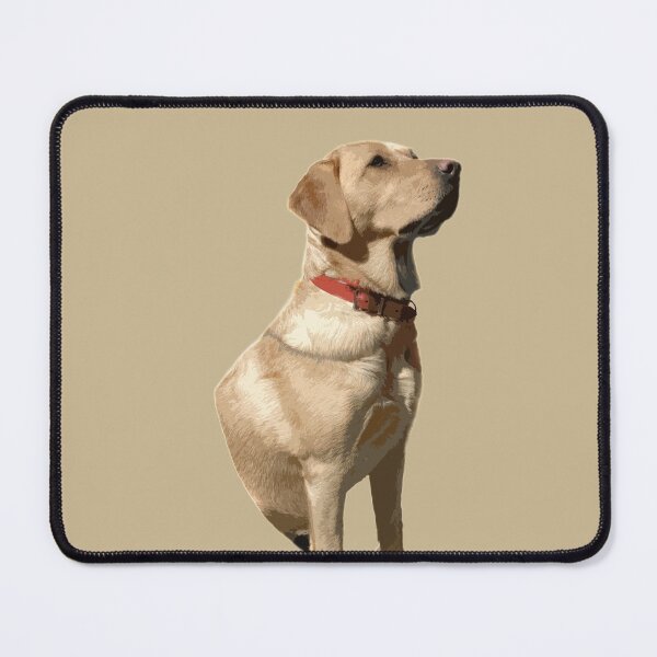 Item preview, I'm Such A Proud Labrador designed and sold by Alternative Perspectives.