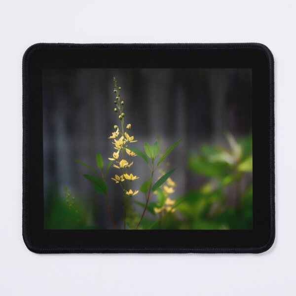 Item preview, Misty Yellow Flowers designed and sold by KbytesOfJax Outdoor and Nature.