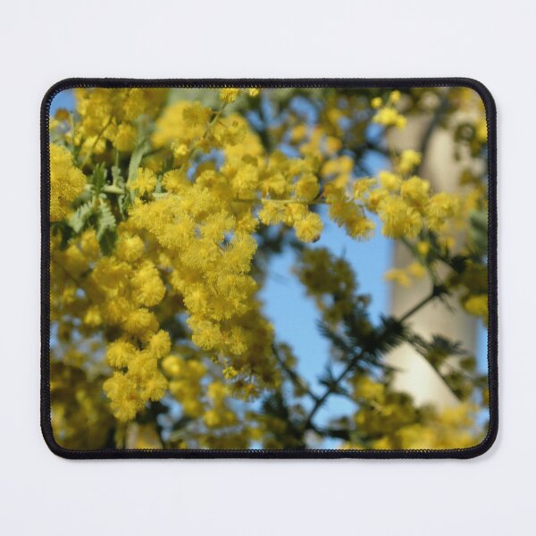 Item preview, Winter Colour, Black Mountain, Canberra, Australia. designed and sold by kaysharp.