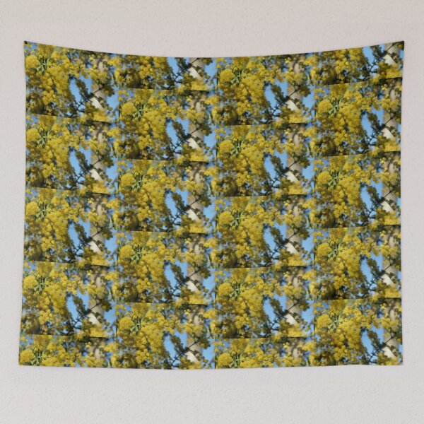 Item preview, Winter Colour, Black Mountain, Canberra, Australia. designed and sold by kaysharp.
