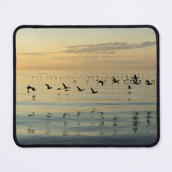 Item preview, Flying Bird Ribbons - Cormorant Flocks and Ripples designed and sold by Georgia Mizuleva.