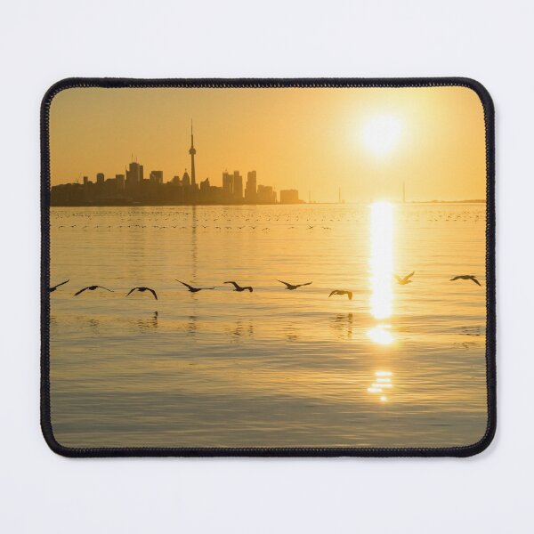 Item preview, Cormorants and Skyscrapers - Brilliant Toronto Sunrise with Urban Wildlife designed and sold by Georgia Mizuleva.