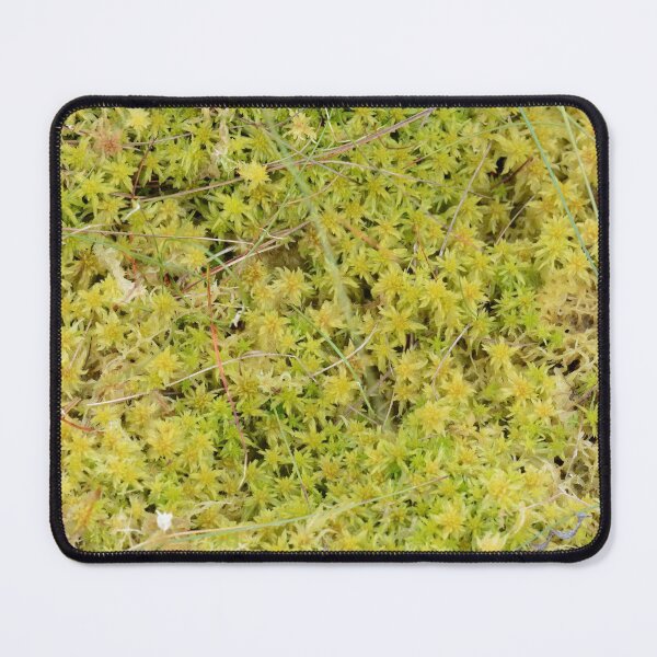 A Bed of Sphagnum Moss Mouse Pad