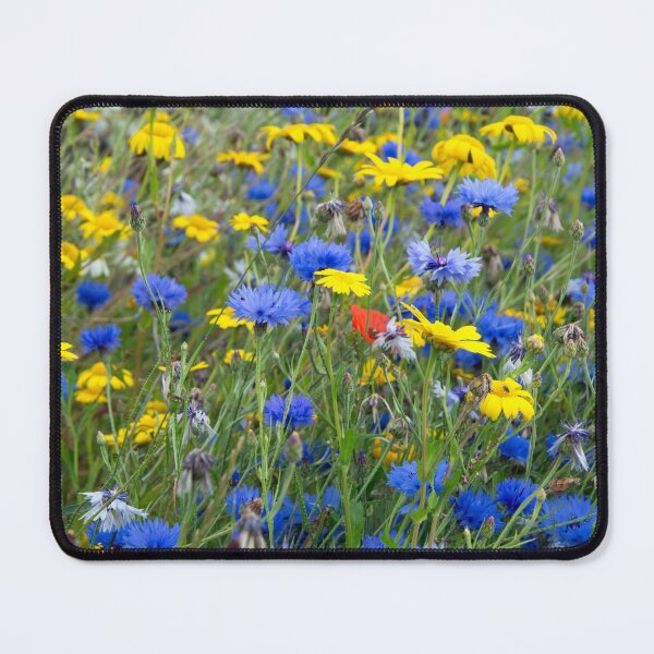 Blue Cornflowers and Yellow Daisies Mouse Pad