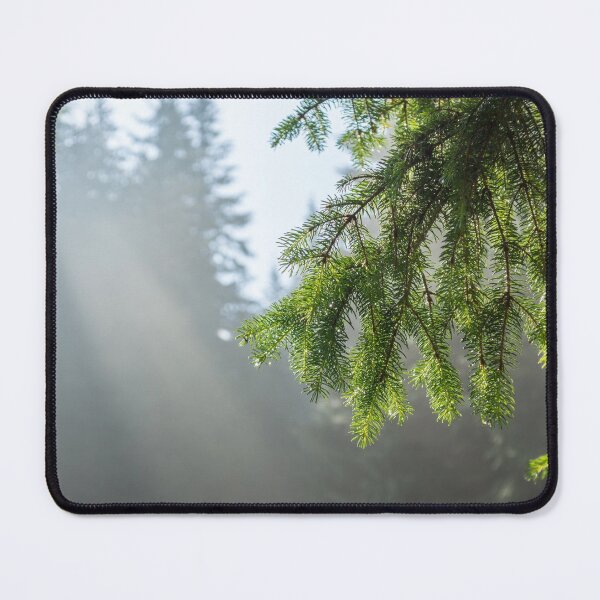 Item preview, Forest Bathing - Fog and Sunbeams Among the Pine Trees designed and sold by Georgia Mizuleva.