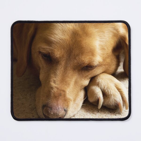Willow the Wanderer sleeping Mouse Pad