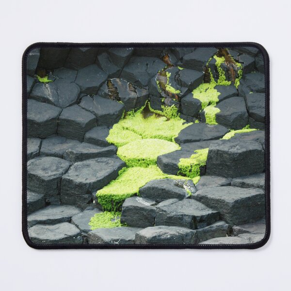 Item preview, Green algae spreading over grey basalt designed and sold by Alternative Perspectives.