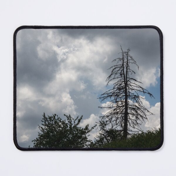 Item preview, Dual Treetop - Unique Pine Tree Against Turbulent Clouds designed and sold by Georgia Mizuleva.