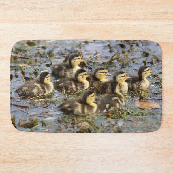 Item preview, Get your ducks in a row designed and sold by GreyFeatherPhot.