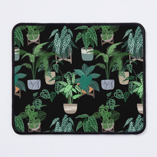 Item preview, Mix Of Potted Houseplants Monstera Deliciosa Monstera Adansonii Calathea Begonia designed and sold by plan-t-b.