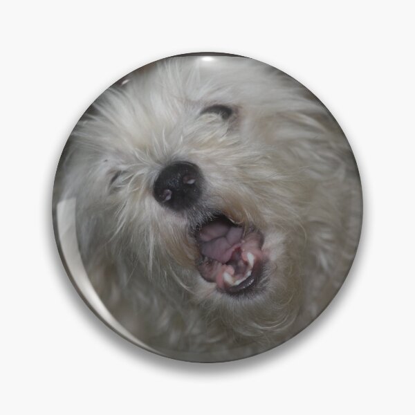 Item preview, "Ooo Sole Miiioooo!!!!"  designed and sold by chstudios.