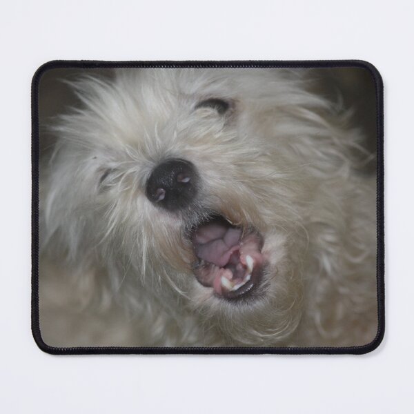 Item preview, "Ooo Sole Miiioooo!!!!" designed and sold by chstudios.