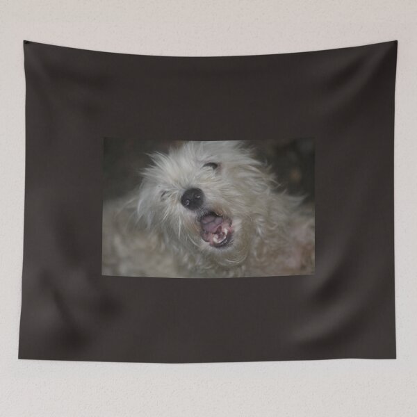 Item preview, "Ooo Sole Miiioooo!!!!"  designed and sold by chstudios.