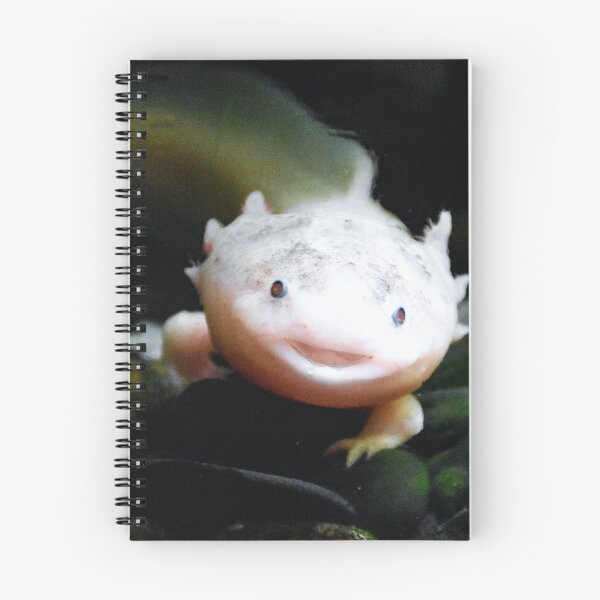 Item preview, Axolotl Smiling  Dabolotl Funny Dubbing Cute designed and sold by Farid94.