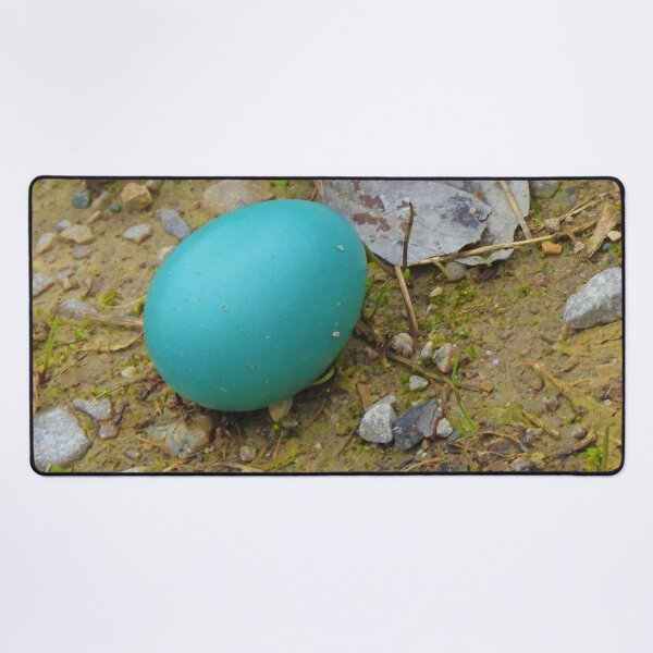 Robin's Egg On Path Desk Mat