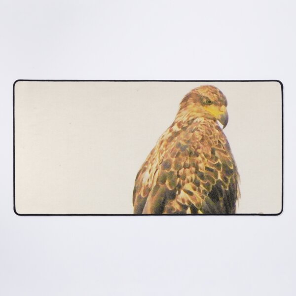 Juvenile Bald Eagle Keeps Watch Desk Mat
