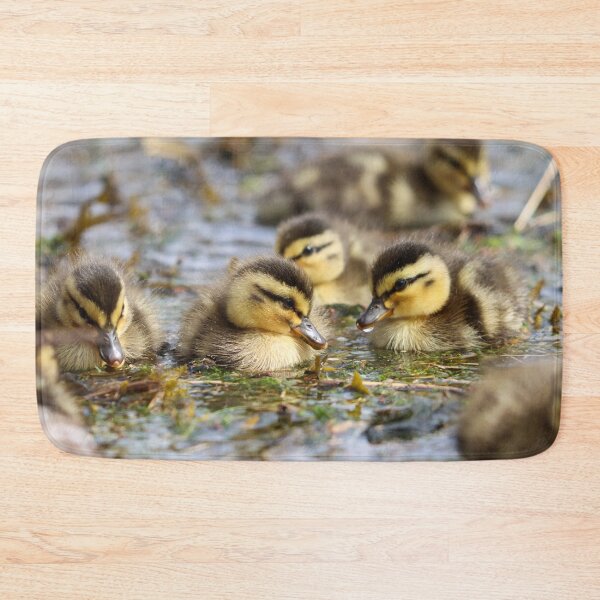 Item preview, Adorable ducklings designed and sold by GreyFeatherPhot.