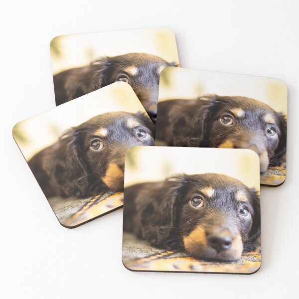 Item preview, cute dachshund puppy  designed and sold by william672.