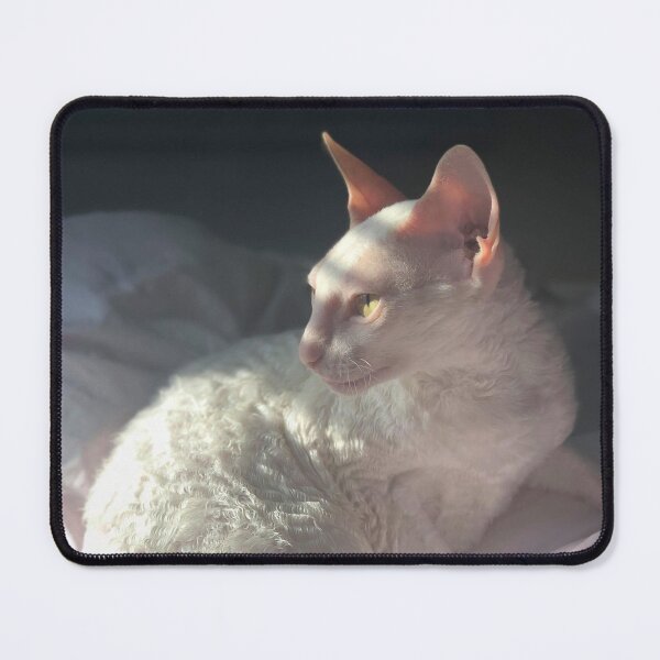 Item preview, My Model Cat designed and sold by LozziiLozzii.
