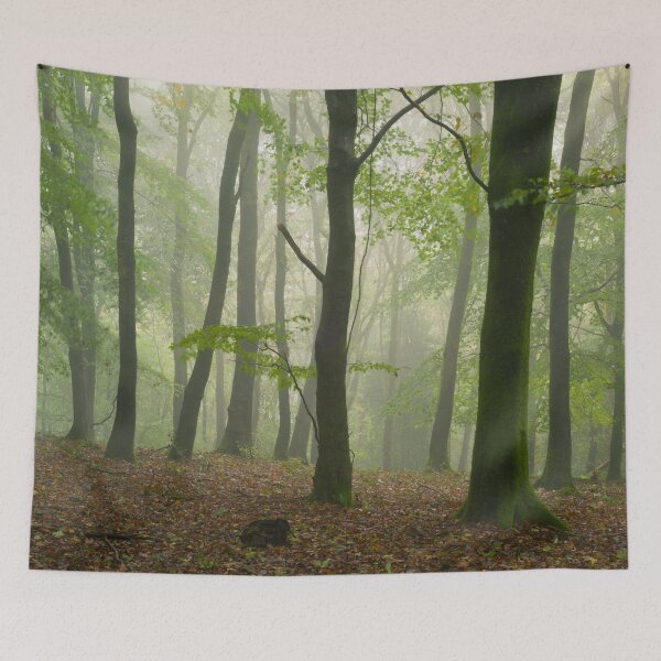 Item preview, Misty Beech Woodland designed and sold by Craig Joiner.
