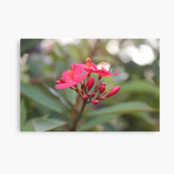 Item preview, Red Flowers on the Tree Garden Image designed and sold by pearl-carnation.