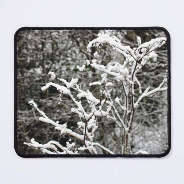 Item preview, Snow on fennel stalks in winter. designed and sold by wineandwords.