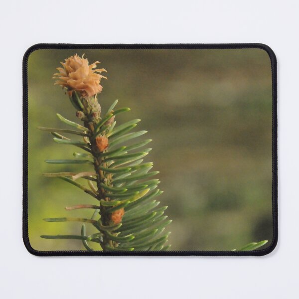Item preview, Pine twig in the forest  designed and sold by wineandwords.