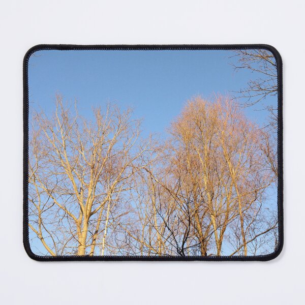 Item preview, Winter sun on the maple trees designed and sold by wineandwords.