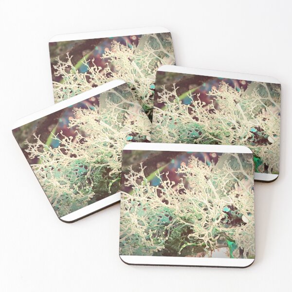 Item preview, Algae designed and sold by Buttercuplainie.