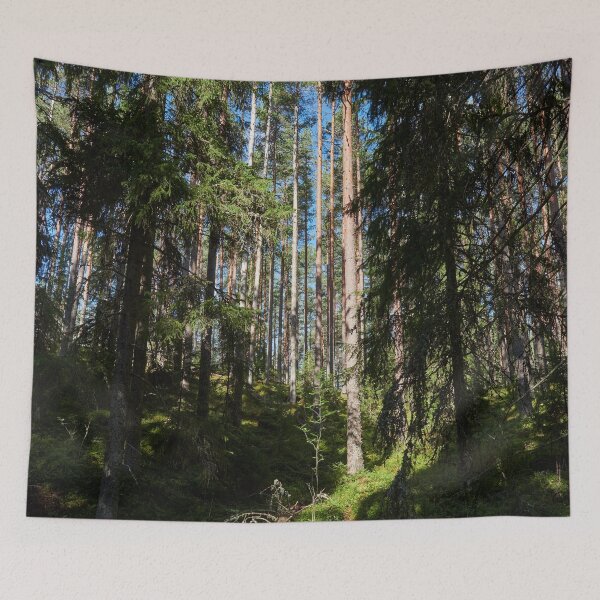 Item preview, Hillside views 2. Seitseminen National Park designed and sold by Jouko Lehto Photography.