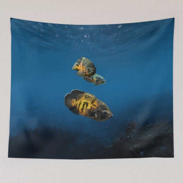 Item preview, OSCAR FISH designed and sold by Danicus666.