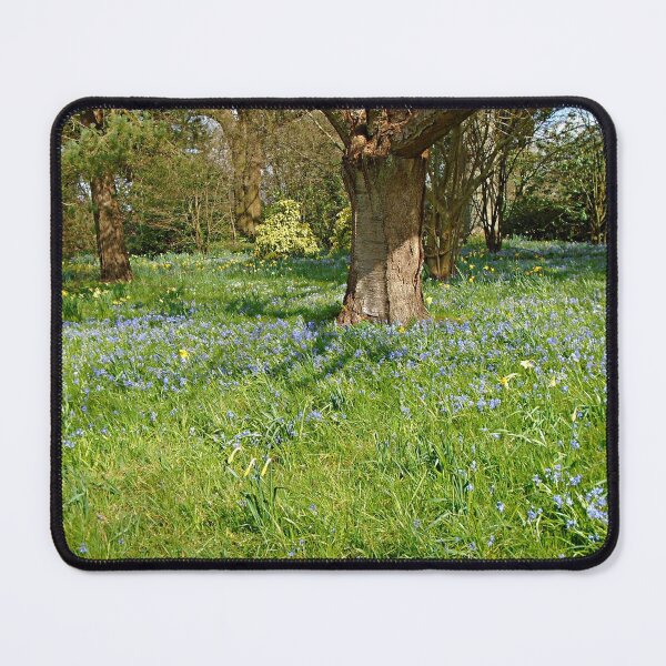 Item preview, Spring Flora designed and sold by ColinBoylett.