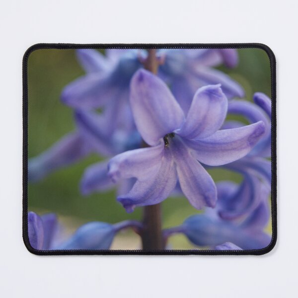 Item preview, Bluebell designed and sold by Hidden-Eagle.