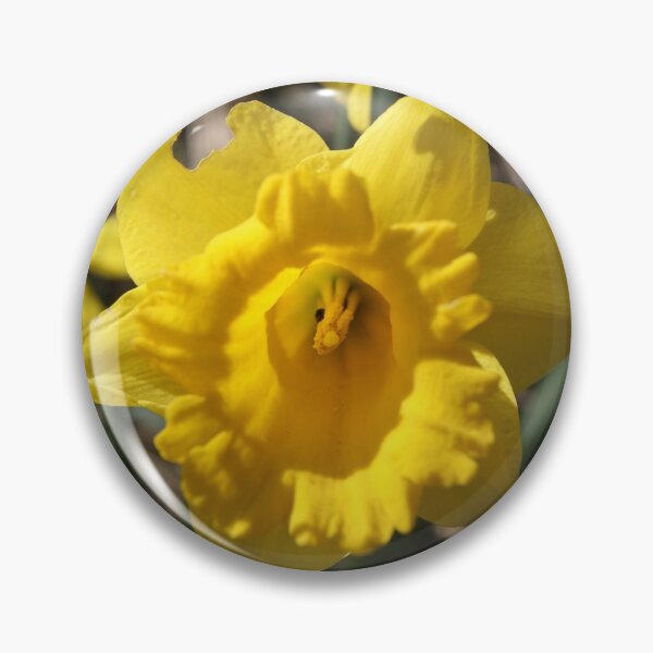 Item preview, Yellow Daffodil designed and sold by Hidden-Eagle.