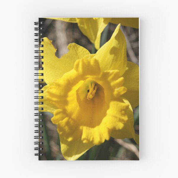 Item preview, Yellow Daffodil designed and sold by Hidden-Eagle.