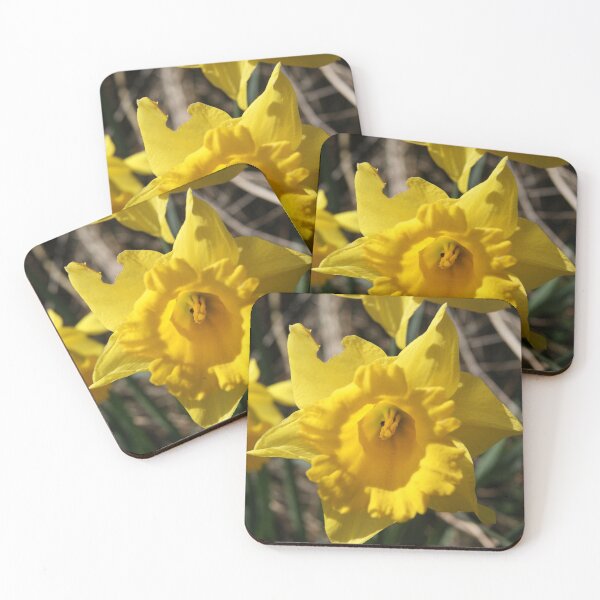 Item preview, Yellow Daffodil designed and sold by Hidden-Eagle.