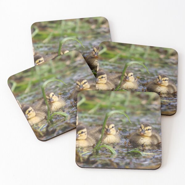 Item preview, Duckling hide and seek designed and sold by GreyFeatherPhot.
