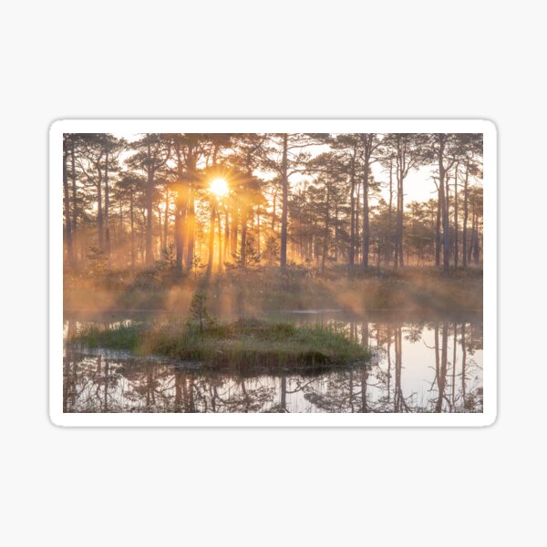 Sunrise in a bog Sticker