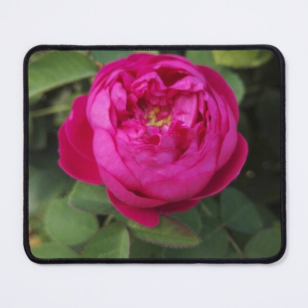 Item preview, Rose garden treasures designed and sold by wineandwords.