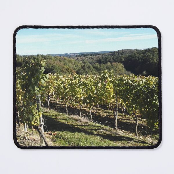 Item preview, Vineyard in the southwest of France designed and sold by wineandwords.