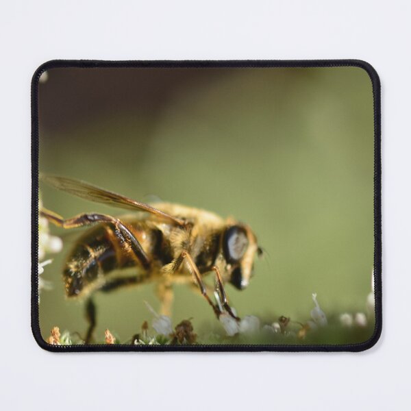 Item preview, Bee at work on mint flowers designed and sold by wineandwords.