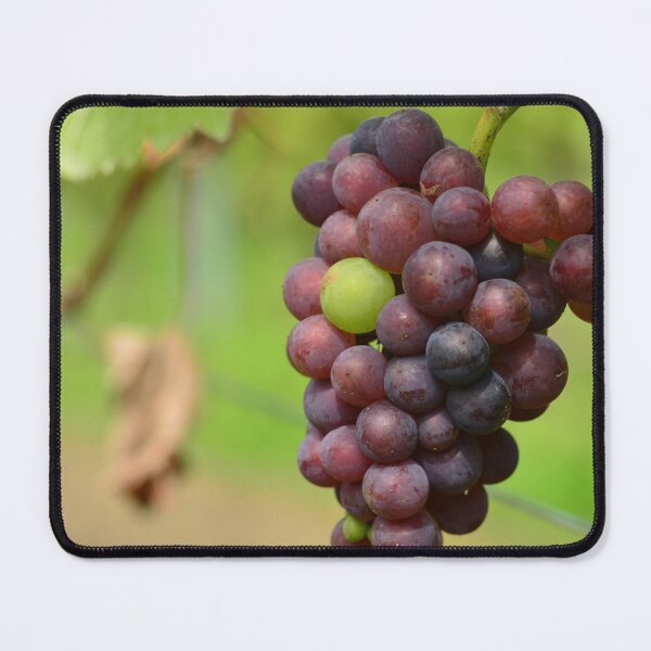 Item preview, The odd one out - green grape in red bunch designed and sold by wineandwords.