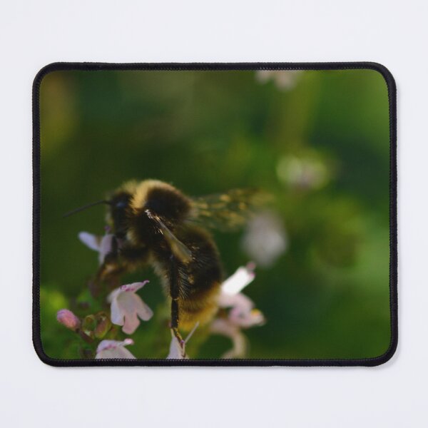 Item preview, Close up of bee on pink oregano flowers designed and sold by wineandwords.