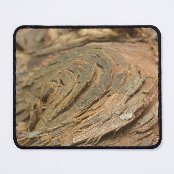 Item preview, Wine and vine photography: grapevine arm designed and sold by wineandwords.