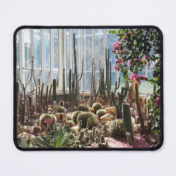 Item preview, Cacti in greenhouse in Geneva's Botanical Garden designed and sold by wineandwords.