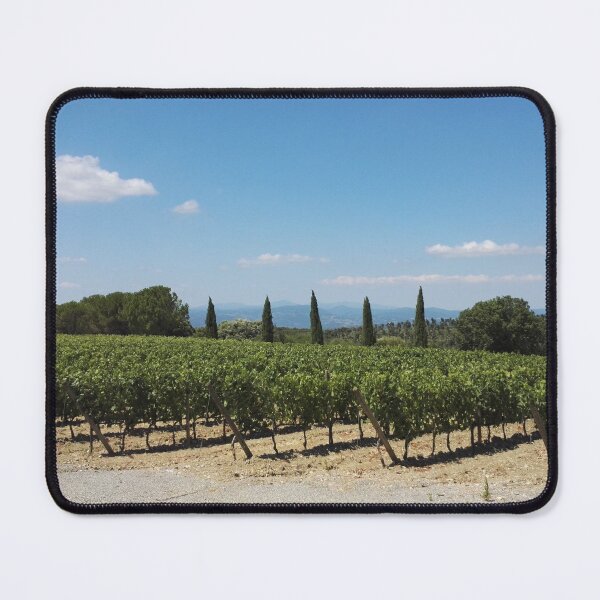 Item preview, Tuscan vineyard and cypresses designed and sold by wineandwords.