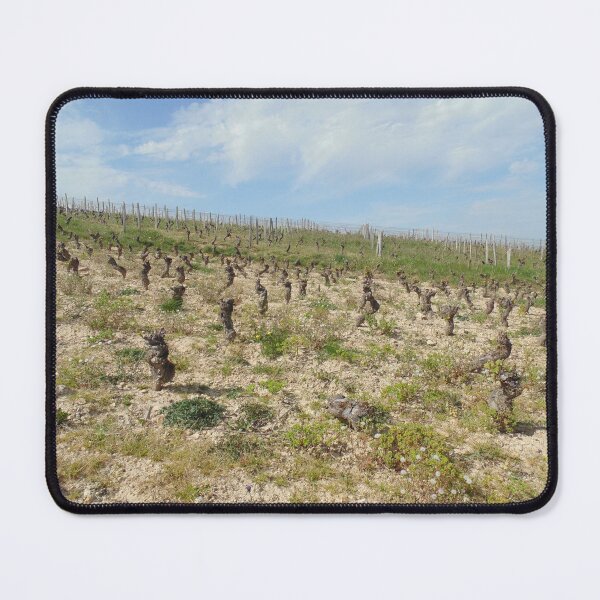 Item preview, Old vines in Burgundy, France designed and sold by wineandwords.