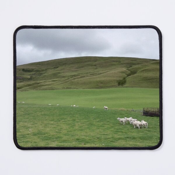 Item preview, Sheep flock in the Scottish Borders designed and sold by wineandwords.