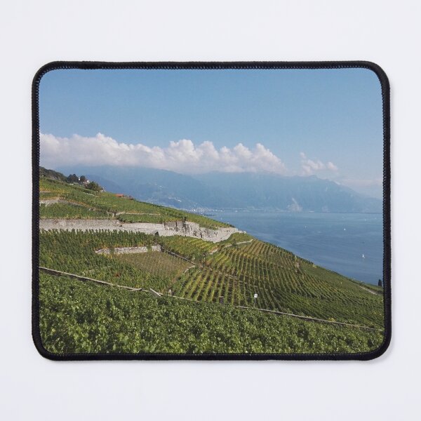 Item preview, Steep vineyards in Vaud overlooking Lake Geneva designed and sold by wineandwords.